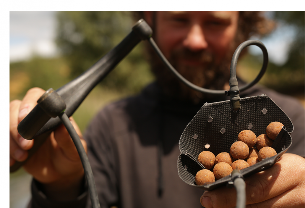 C Food Boilies - best boilie for Carp Fishing
