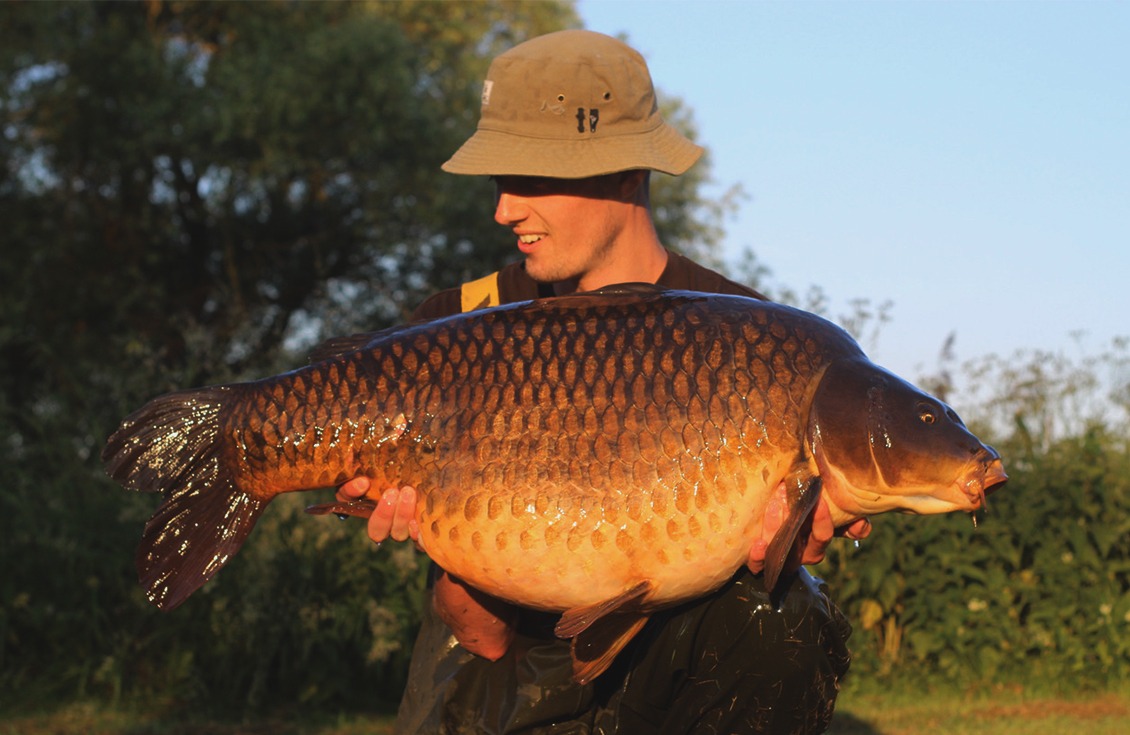 Sticky Baits - News - Sandmartin Success - Carp Fishing Bait